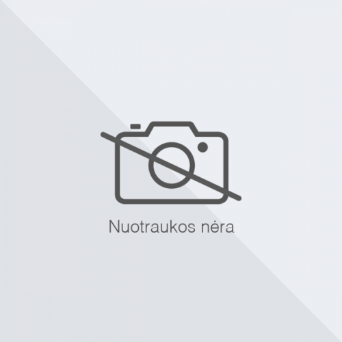 Plieninė 2mm variklio apsauga Citroen С4 2004-2010; visi darbiniai tūriai